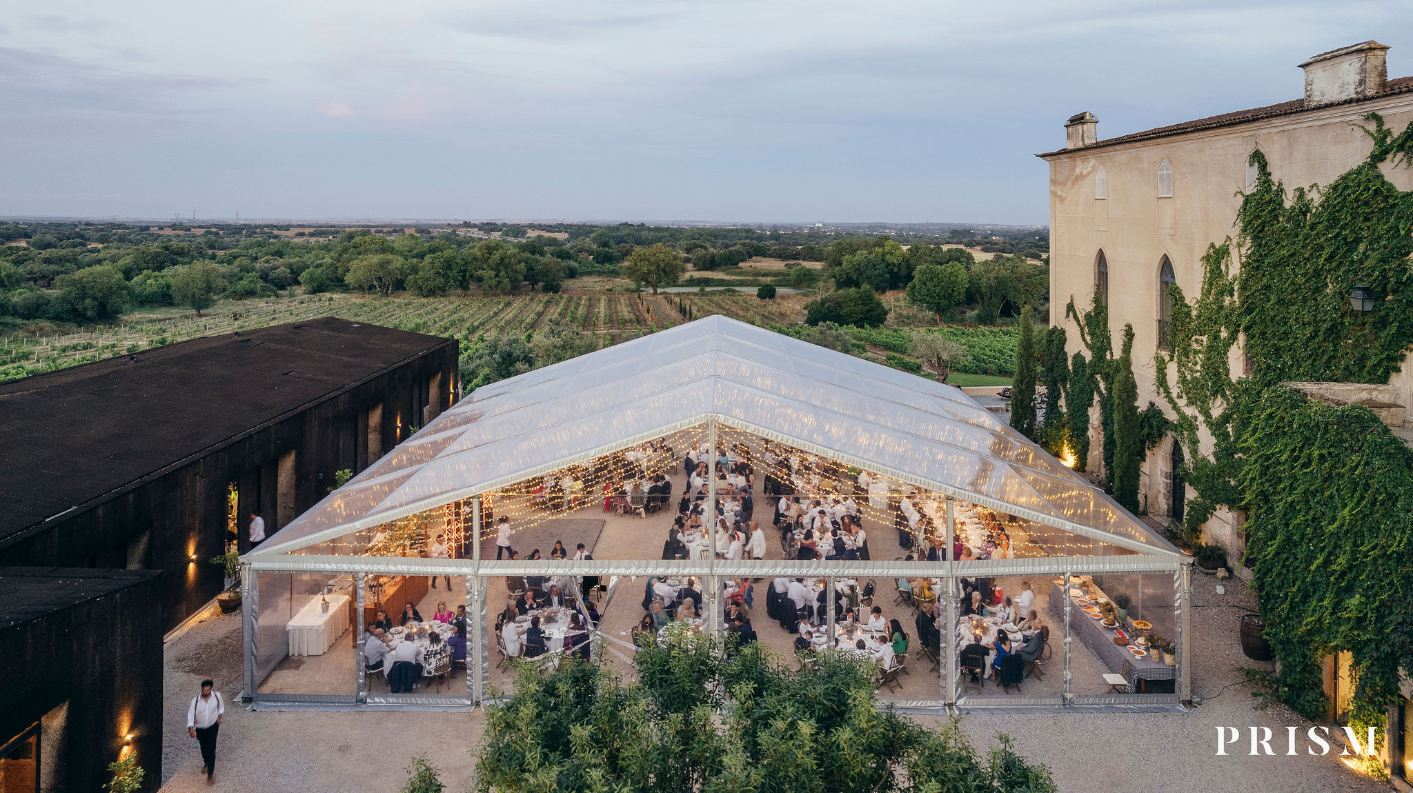 Imagem de galeria Susana Alegria 06