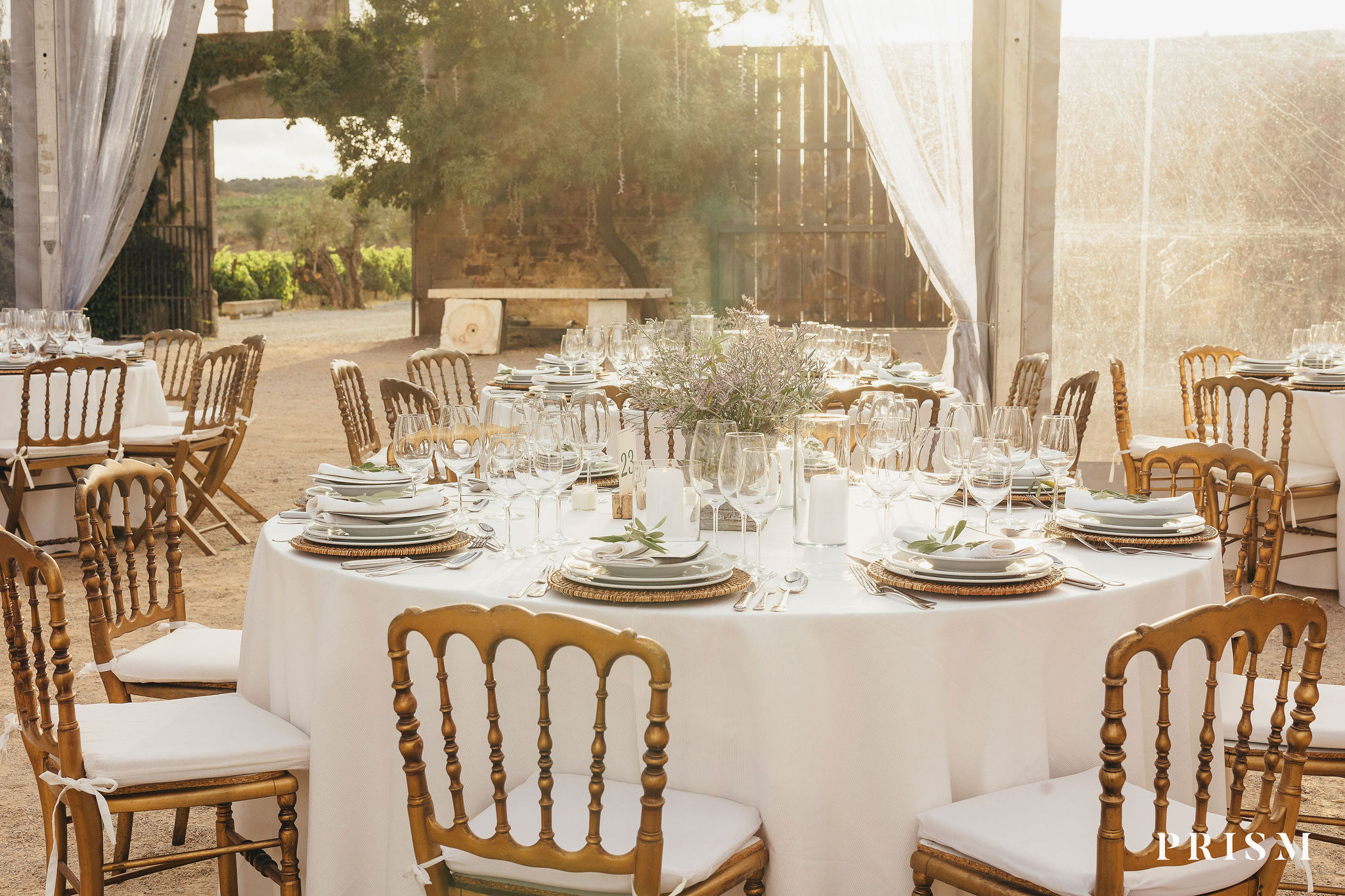 Imagem de galeria Susana Alegria 14