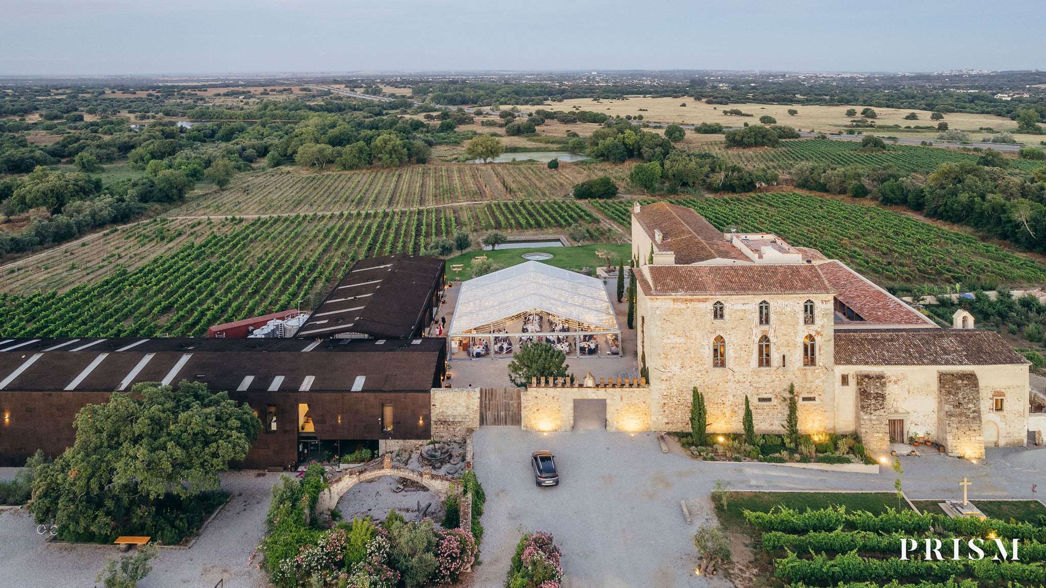 Imagem de galeria Susana Alegria 11